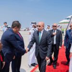 وزير الزراعة: انتشار محدود للجراد في بعض المناطق والوضع تحت السيطرة