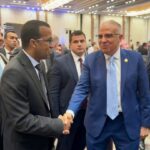 الحكومة تكشف عن تصنيف محدث للمواشي