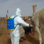 وزير الثقافة يختتم زيارته للجزائر بعد مشاركة موريتانيا كضيف شرف في الفعالية الثقافية