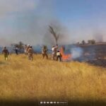 نقابة مهنية تعبر عن استياءها من قانون الصيدلة وتتوعد باتخاذ إجراءات تصعيدية