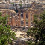 الجمارك تضبط شحنة مهربة من الأدوية والسجائر في مركز فصالة