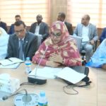 الجزائر تعقد اتفاقاً لاستيراد 6 ملايين إطار سيارات من ألمانيا