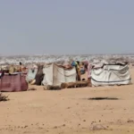 وزير التكوين المهني يلتقي نظيرته الجزائرية خلال فعاليات الأولمبياد الوطني للتكوين المهني.