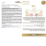 تحليل تأثير أنشطة شركة صينية في الكونغو على تلوث المياه وانتهاكات المعايير البيئية