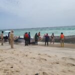 بمباركة من بنت الداه.. موريتانيا تحتفل باليوم العالمي لإنهاء العنف ضد النساء والفتيات