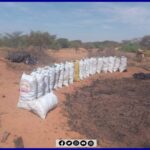 تنظيم ورشة عمل تدريبية حول الذكاء الاصطناعي والطائرات المسيرة لفائدة الشركات الناشئة