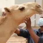 وزيرة العمل الاجتماعي تستعرض سُبل التعاون مع اليونيسف لتعزيز حماية الطفولة