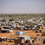 إلزام جميع مراسلات وزارة التنمية الحيوانية باللغة العربية