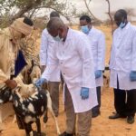 نواذيبو: إطلاق مرحلة جديدة في توسيع خدمات الصندوق الوطني للتضامن الصحي