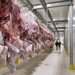 الحكومة تؤكد: ولد الغزواني ملتزم بتسوية قضية الإرث الإنساني