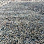 الحكومة تطلق مبادرة لتدريب 300 موظف في اختصاصات الأمن السيبراني والذكاء الاصطناعي