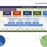 وزارة التجارة: فرق حماية المستهلك تسجل 9022 مخالفة في الأسواق خلال عام 2025