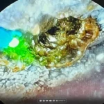 الناطق باسم الحكومة: دمج الوزارات في مبانٍ حكومية ونقل ثلاثة قطاعات خلال الأسبوع المقبل