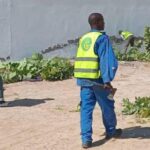 عالمة آثار فرنسية تعيد إحياء أعمال التنقيب في الموقع التاريخي “آزوكي”