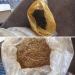 ولد مرزوك: برنامج الحكومة يمثل رؤية إصلاحية طموحة ويؤسس لعملية تحول تنموي شامل.