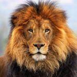 الداخلية تدعو رؤساء الأحزاب الذين أنهوا إجراءات الترخيص لاستلام أوصالهم